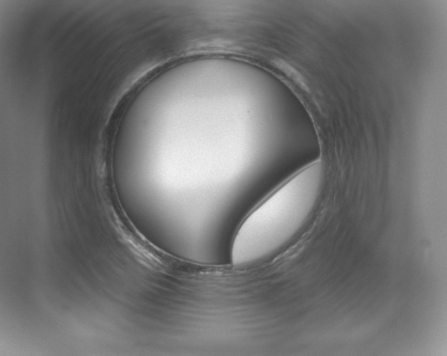 X0000073891458200608110857