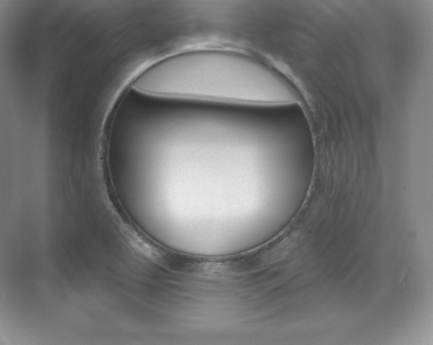 X0000073891463200608110857