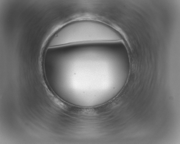 X0000073891464200608110857