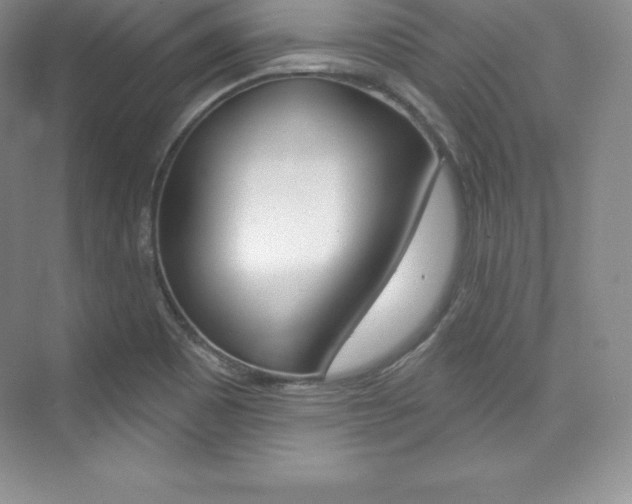 X0000073891465200608110857