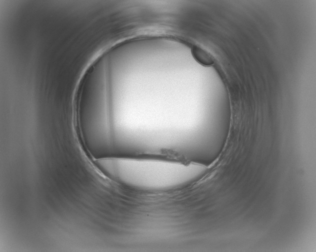 X0000073891467200608110857