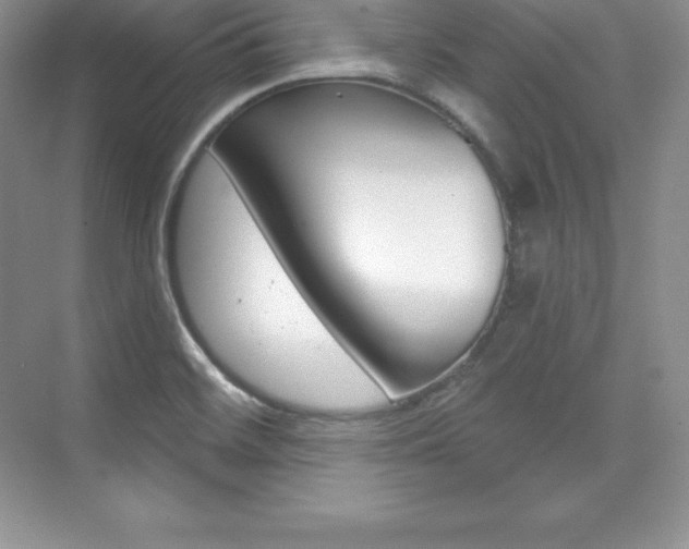 X0000073891468200608110857