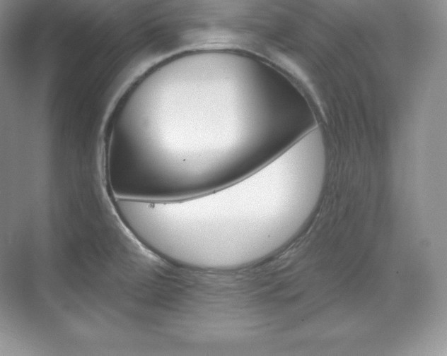 X0000073891472200608110857