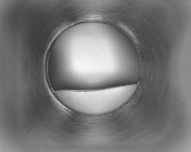 X0000073891475200608110857
