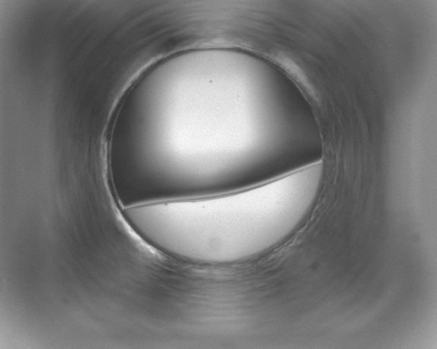 X0000073891476200608110857