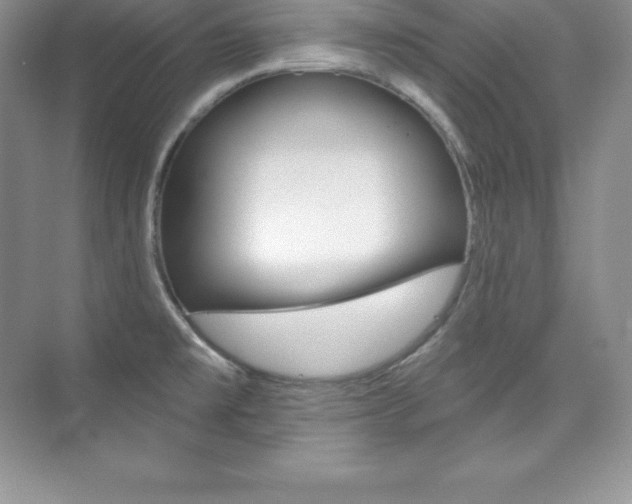 X0000073891477200608110857