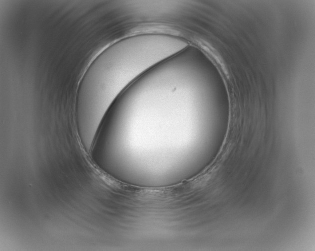 X0000073891481200608110857