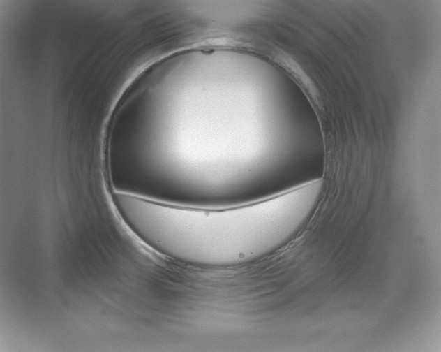 X0000073891483200608110857