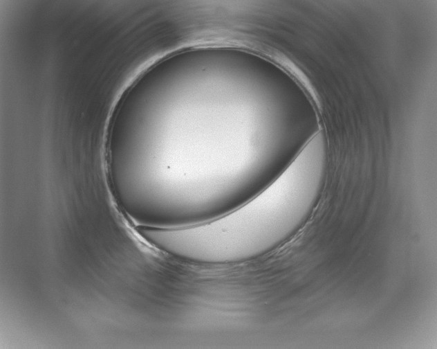 X0000073891485200608110857
