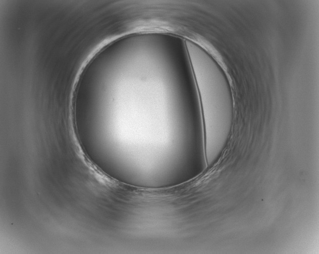 X0000073891488200608110857