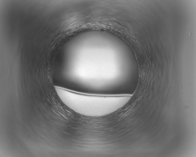 X0000073891490200608110856