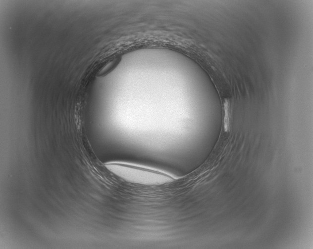 X0000073891491200608110856