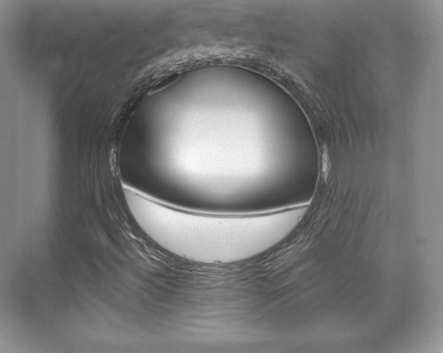 X0000073891492200608110856