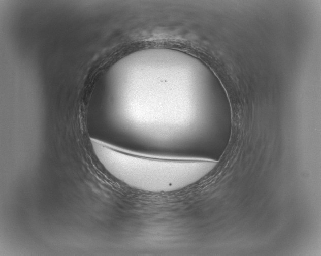 X0000073891493200608110856