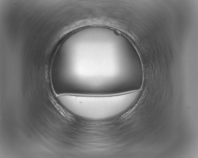 X0000073891499200608110856