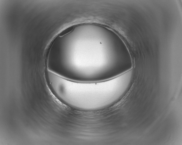 X0000073891500200608110856