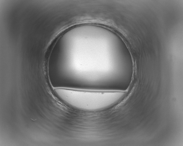 X0000073891501200608110856