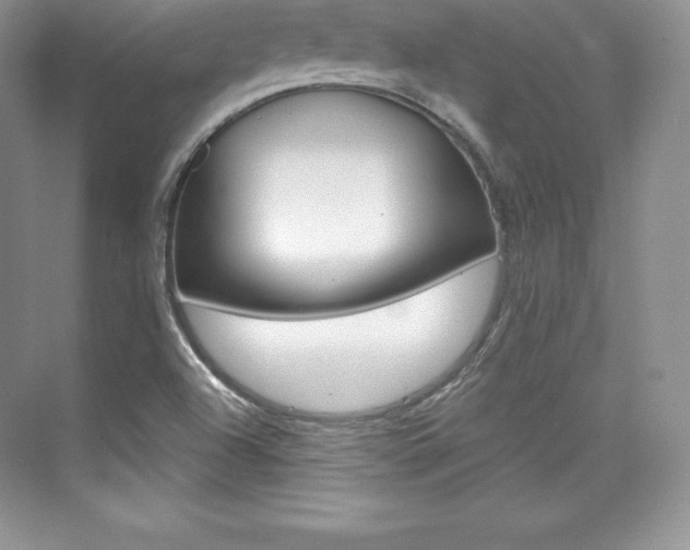 X0000073891504200608110856