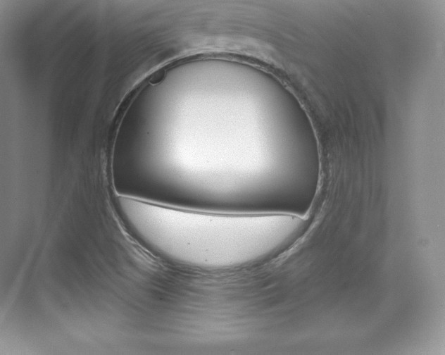 X0000073891505200608110856