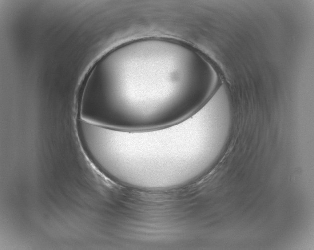 X0000073891508200608110856