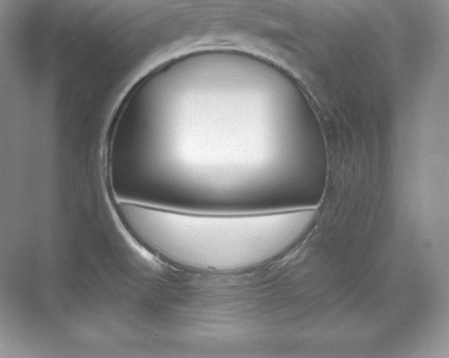 X0000073891519200608110856