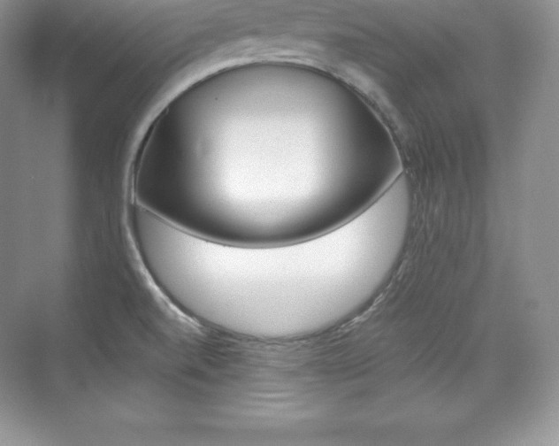 X0000073891520200608110856