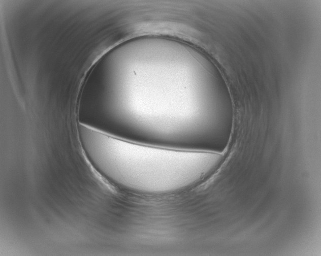 X0000073891521200608110856