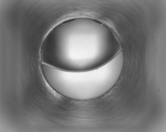 X0000073891524200608110856
