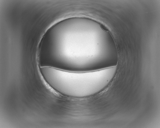 X0000073891526200608110856
