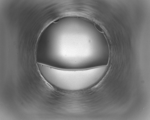 X0000073891529200608110856