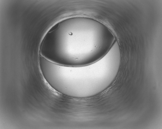 X0000073891532200608110856