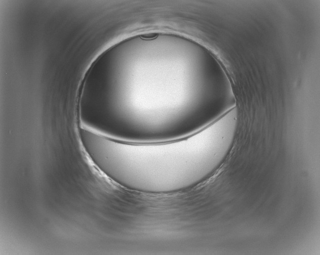X0000073891534200608110857