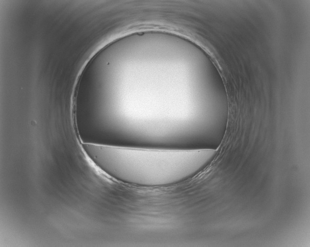 X0000073891535200608110857
