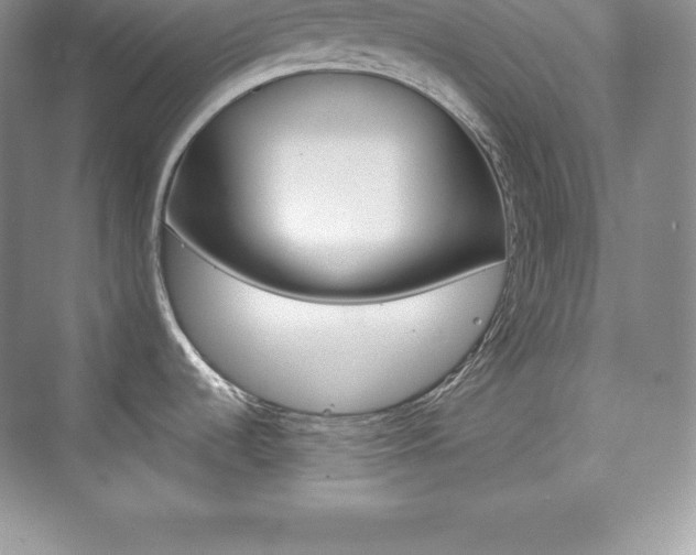 X0000073891536200608110857