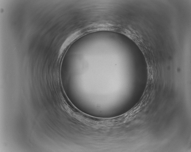 X0000073890004200608111116