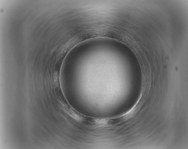 X0000073890144200608111114