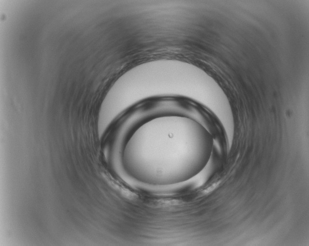X0000073890284200608111113