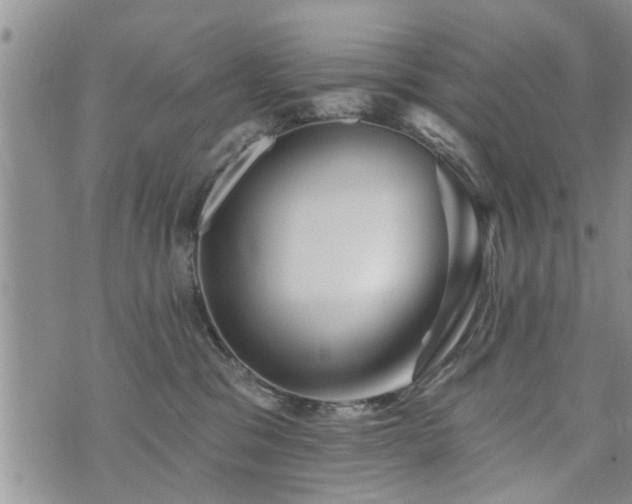 X0000073890329200608111111