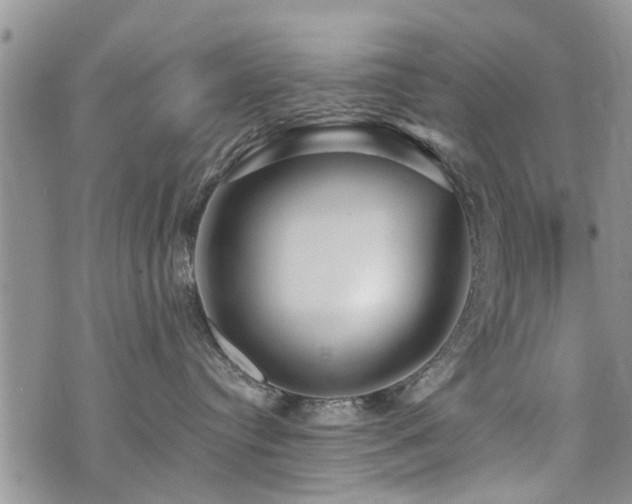 X0000073890384200608111111