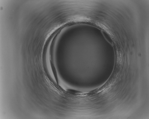 X0000073890391200608111110
