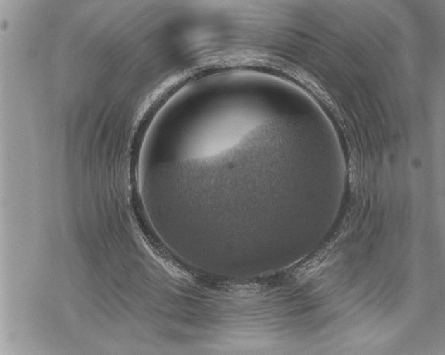 X0000073890438200608111109