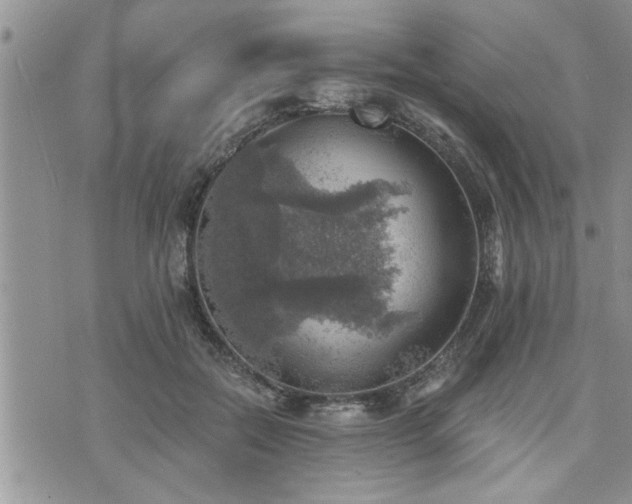 X0000073890554200608111108