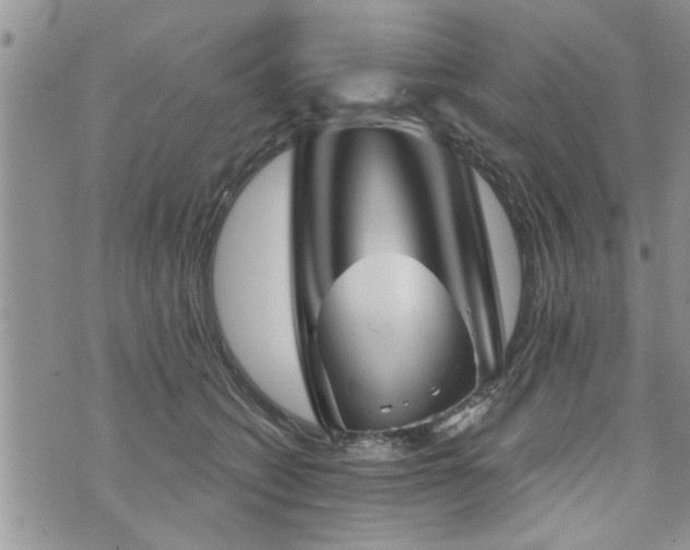 X0000073890562200608111108