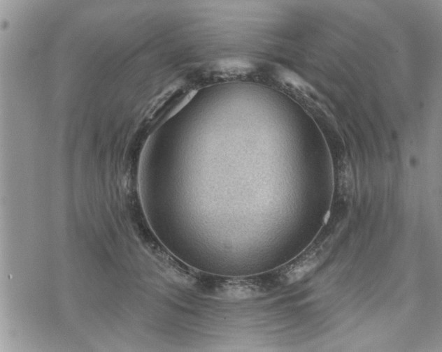 X0000073890608200608111107