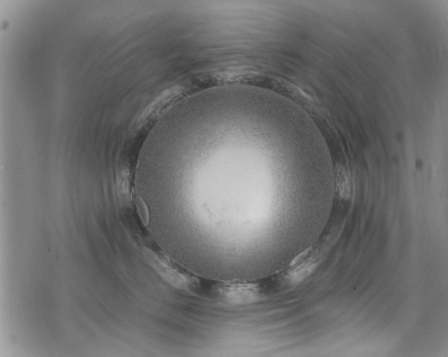 X0000073890670200608111106