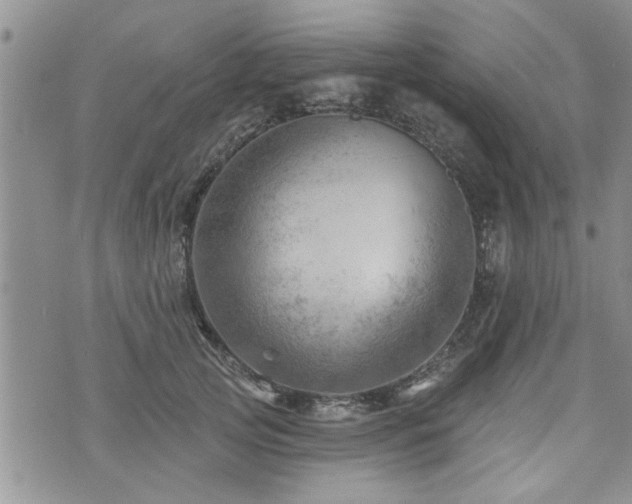 X0000073890753200608111104