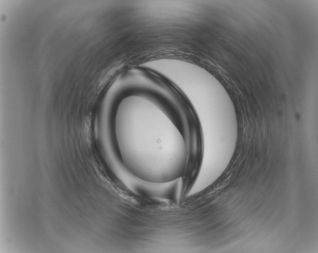 X0000073890762200608111105