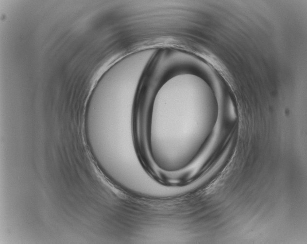 X0000073890850200608111103