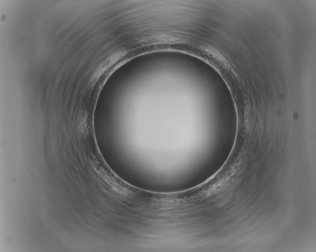 X0000073890873200608111102