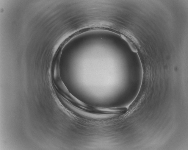 X0000073890936200608111101